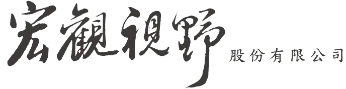 宏觀視野股份有限公司